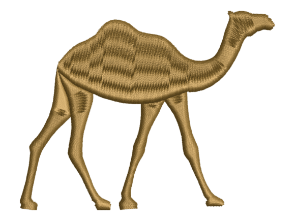 Desert Camel Design: A Designer’s Review for Craft Fair Success