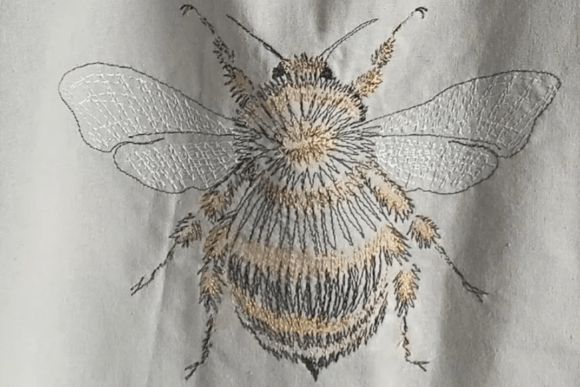 Linear Bumble Bee Sketch Style Review